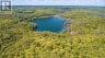 2368 ESSONVILLE LINE ROAD, Highlands East (monmouth), Ontario, K0L3C0 (ID X13809610)