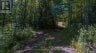 2368 ESSONVILLE LINE ROAD, Highlands East (monmouth), Ontario, K0L3C0 (ID X13809610)