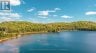 2368 ESSONVILLE LINE ROAD, Highlands East (monmouth), Ontario, K0L3C0 (ID X13809610)