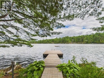 1014 OPAL LANE Highlands East (Glamorgan) Ontario photo 40
