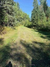 0 WALL STREET W Kenora Remote Area (Oxdrift) Ontario photo 15
