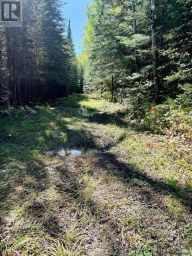 0 WALL STREET W Kenora Remote Area (Oxdrift) Ontario photo 16