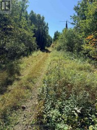 0 WALL STREET W Kenora Remote Area (Oxdrift) Ontario photo 18