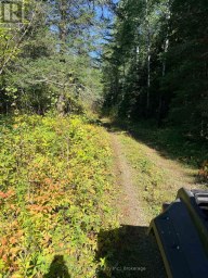 0 WALL STREET W Kenora Remote Area (Oxdrift) Ontario photo 19
