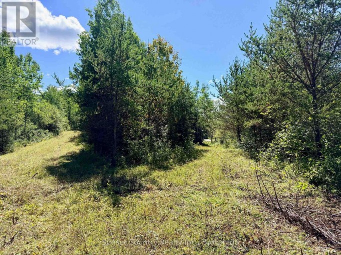0 WALL STREET W, Kenora Remote Area (Oxdrift), Ontario, P0V2J0