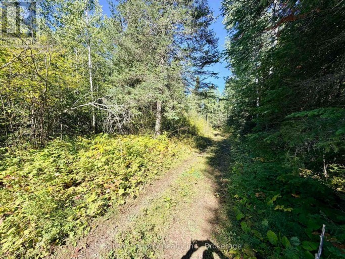 0 WALL STREET W, Kenora Remote Area (Oxdrift), Ontario, P0V2J0