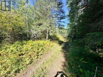 0 WALL STREET W Kenora Remote Area (Oxdrift) Ontario photo 21