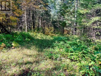 0 WALL STREET W Kenora Remote Area (Oxdrift) Ontario photo 22