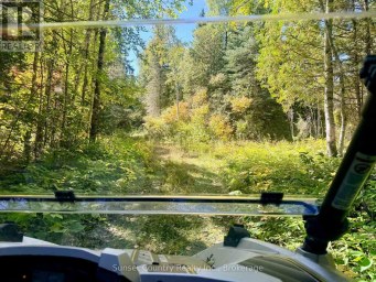 0 WALL STREET W Kenora Remote Area (Oxdrift) Ontario photo 23
