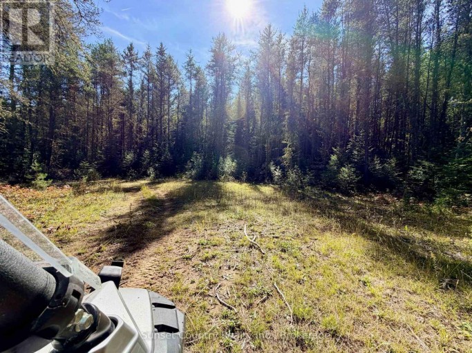 0 WALL STREET W, Kenora Remote Area (Oxdrift), Ontario, P0V2J0