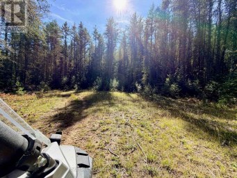 0 WALL STREET W Kenora Remote Area (Oxdrift) Ontario photo 24