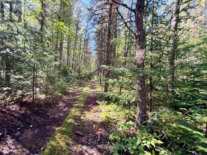 0 WALL STREET W, Kenora Remote Area (Oxdrift), Ontario, P0V2J0