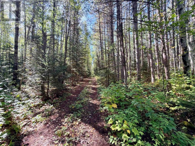 0 WALL STREET W, Kenora Remote Area (Oxdrift), Ontario, P0V2J0
