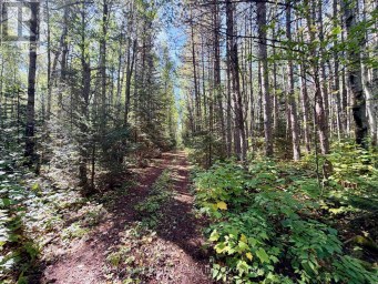 0 WALL STREET W Kenora Remote Area (Oxdrift) Ontario photo 26