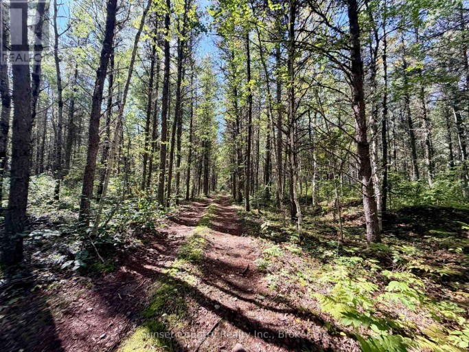 0 WALL STREET W, Kenora Remote Area (Oxdrift), Ontario, P0V2J0