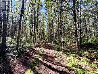 0 WALL STREET W Kenora Remote Area (Oxdrift) Ontario photo 27