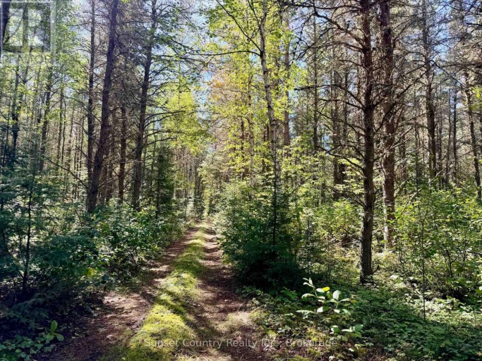0 WALL STREET W, Kenora Remote Area (Oxdrift), Ontario, P0V2J0