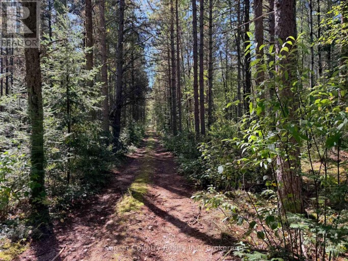 0 WALL STREET W, Kenora Remote Area (Oxdrift), Ontario, P0V2J0