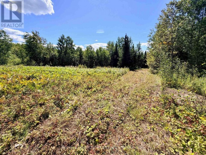 0 WALL STREET W, Kenora Remote Area (Oxdrift), Ontario, P0V2J0