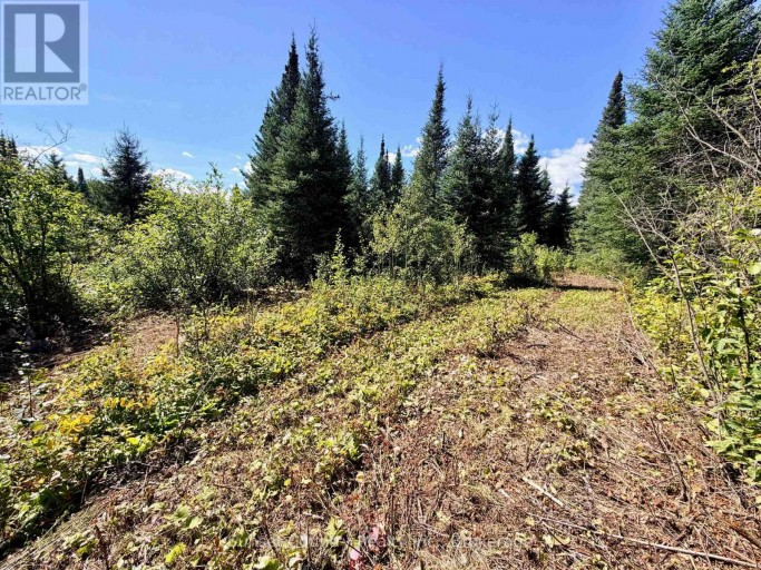 0 WALL STREET W, Kenora Remote Area (Oxdrift), Ontario, P0V2J0