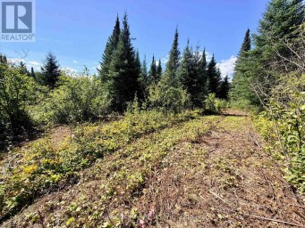 0 WALL STREET W Kenora Remote Area (Oxdrift) Ontario photo 4