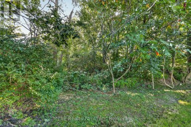 35 BEECH BOULEVARD Tillsonburg Ontario photo 36