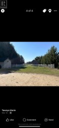 23999 MAYFAIR ROAD Adelaide Metcalfe Ontario photo 48