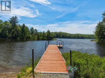 1013 GOODLIFE LANE Algonquin Highlands (Sherborne) Ontario photo 40