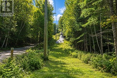 78 124 HIGHWAY McDougall Ontario photo 37