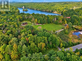78 124 HIGHWAY McDougall Ontario photo 42