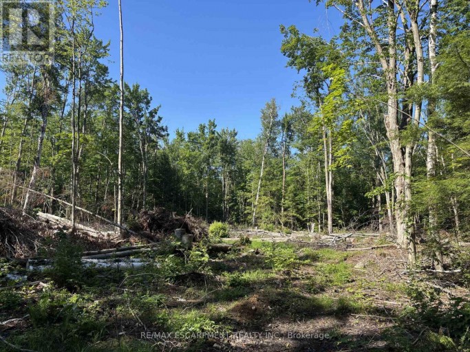 5822 LINE 8 N, Oro-Medonte, Ontario, L0K1N0