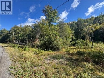 Frye Road Chamcook New Brunswick photo 1