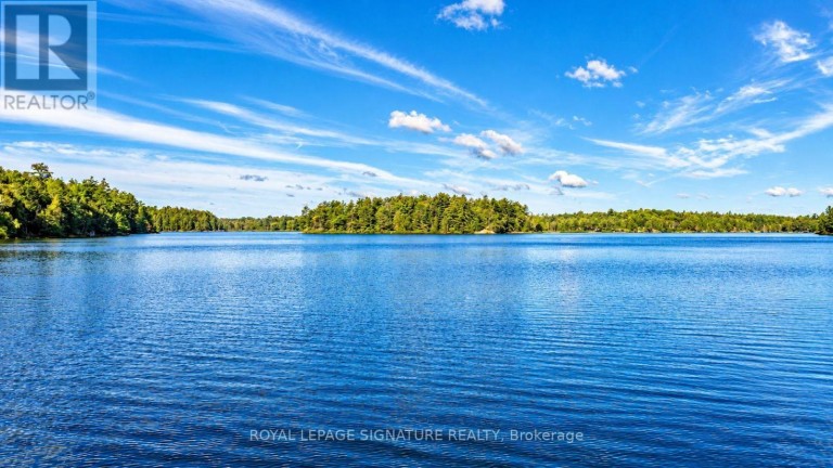80 SHEBESHEKONG ROAD, Carling, Ontario, P0G1G0