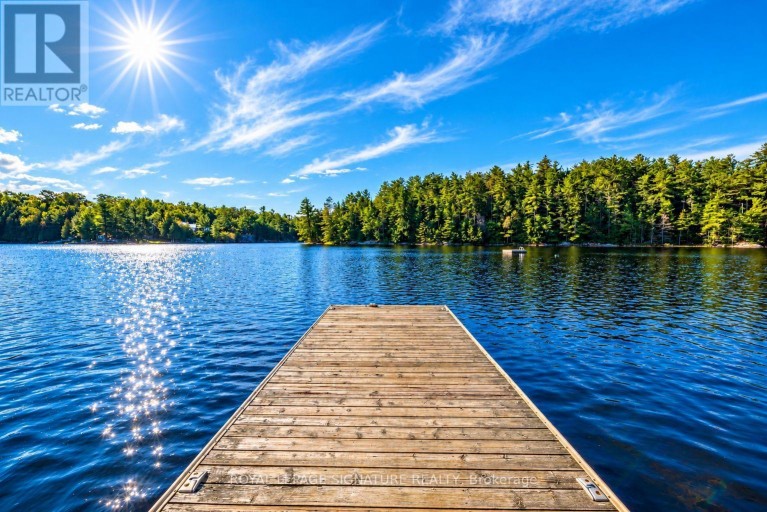 80 SHEBESHEKONG ROAD, Carling, Ontario, P0G1G0