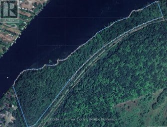0 CONCESSION RD 13 E Trent Hills Ontario photo 6