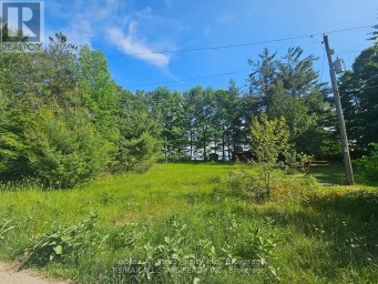 836 LOT 39 INDIAN POINT ROAD Kawartha Lakes (Bexley) Ontario photo 4