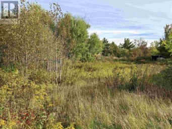 11934 Highway 17 Thessalon Ontario photo 7