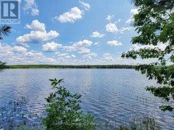 396 NORTH SHORE ROAD Kawartha Lakes (Laxton/Digby/Longford) Ontario photo 7
