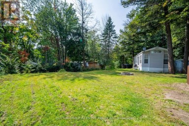 51 - 6047 HIGHWAY 89 New Tecumseth Ontario photo 3