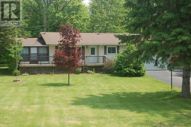 211 ALPINE LAKE ROAD Trent Lakes Ontario photo 1