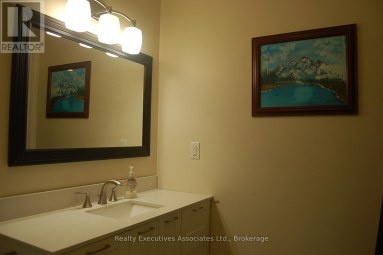 211 ALPINE LAKE ROAD Trent Lakes Ontario photo 14