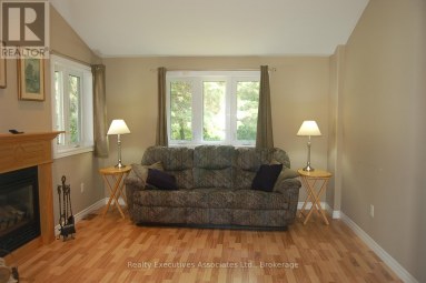 211 ALPINE LAKE ROAD Trent Lakes Ontario photo 2