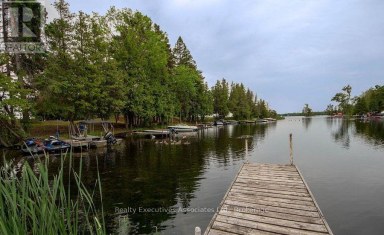 211 ALPINE LAKE ROAD Trent Lakes Ontario photo 24