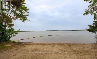211 ALPINE LAKE ROAD Trent Lakes Ontario photo 26