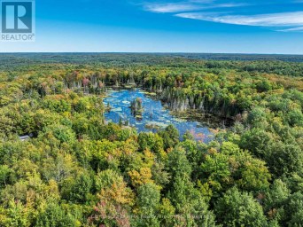 1453 FLEMING ROAD Minden Hills (Anson) Ontario photo 2
