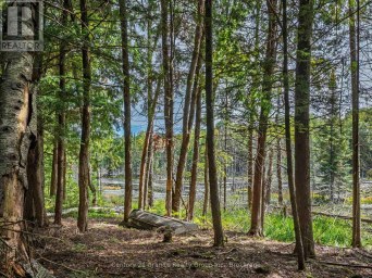 1453 FLEMING ROAD Minden Hills (Anson) Ontario photo 33