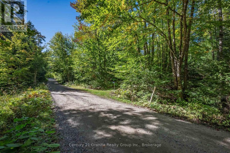 1453 FLEMING ROAD, Minden Hills (Anson), Ontario, K0M2K0