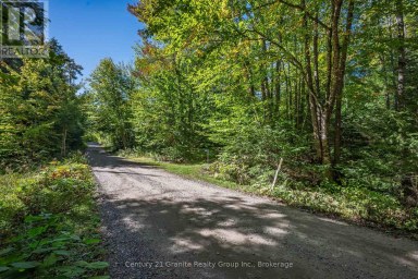 1453 FLEMING ROAD Minden Hills (Anson) Ontario photo 34