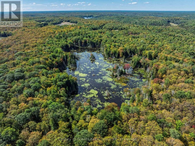 1453 FLEMING ROAD, Minden Hills (Anson), Ontario, K0M2K0