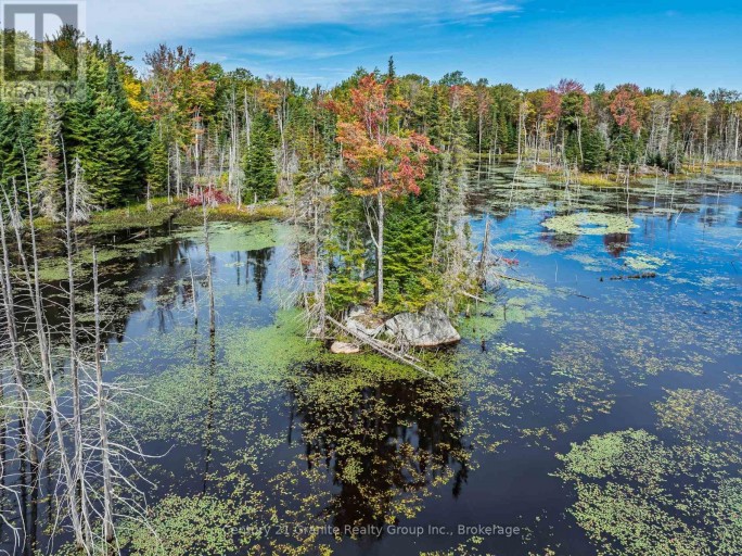 1453 FLEMING ROAD, Minden Hills (Anson), Ontario, K0M2K0